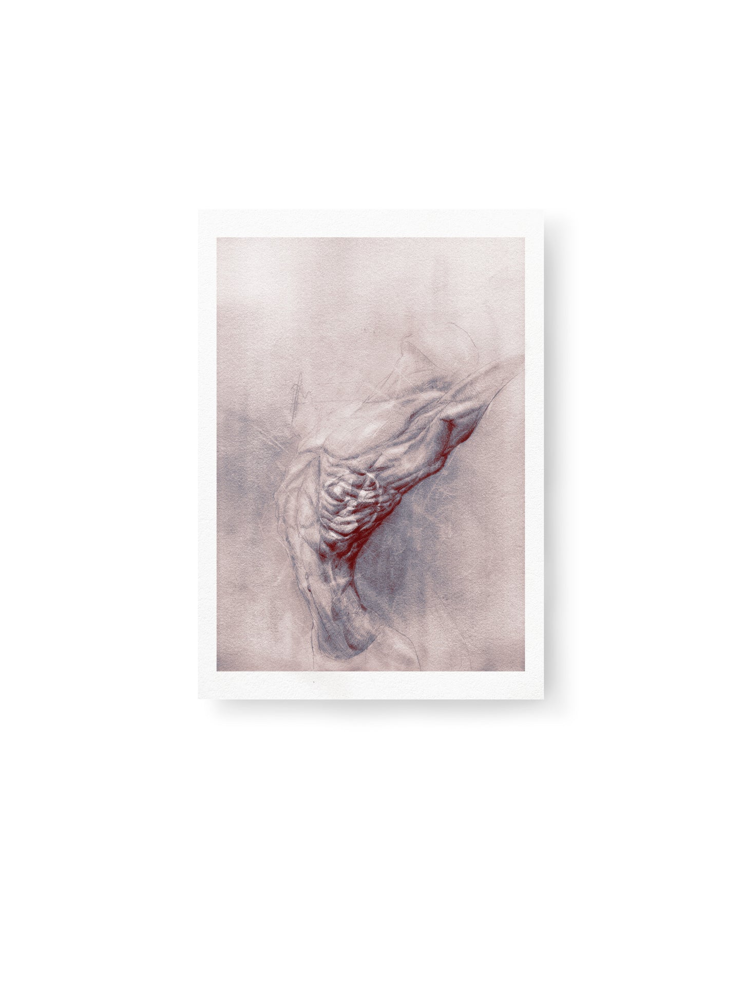 Half Life | Fine Art Print