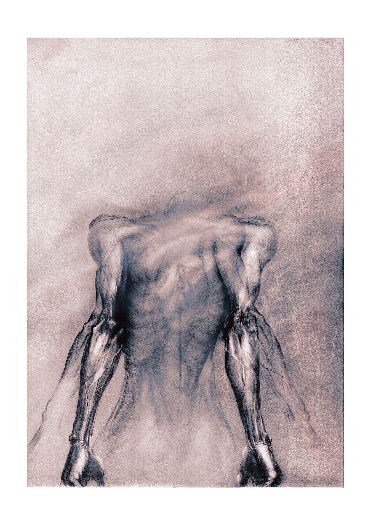 Human anatomy drawing of a bent figure, expressive graphite figure drawing print