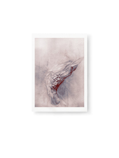 Half Life | Fine Art Print