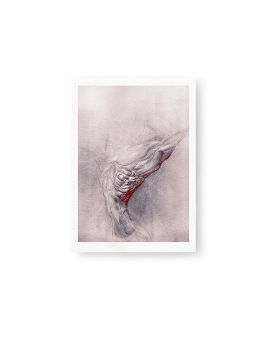 Half Life | Fine Art Print