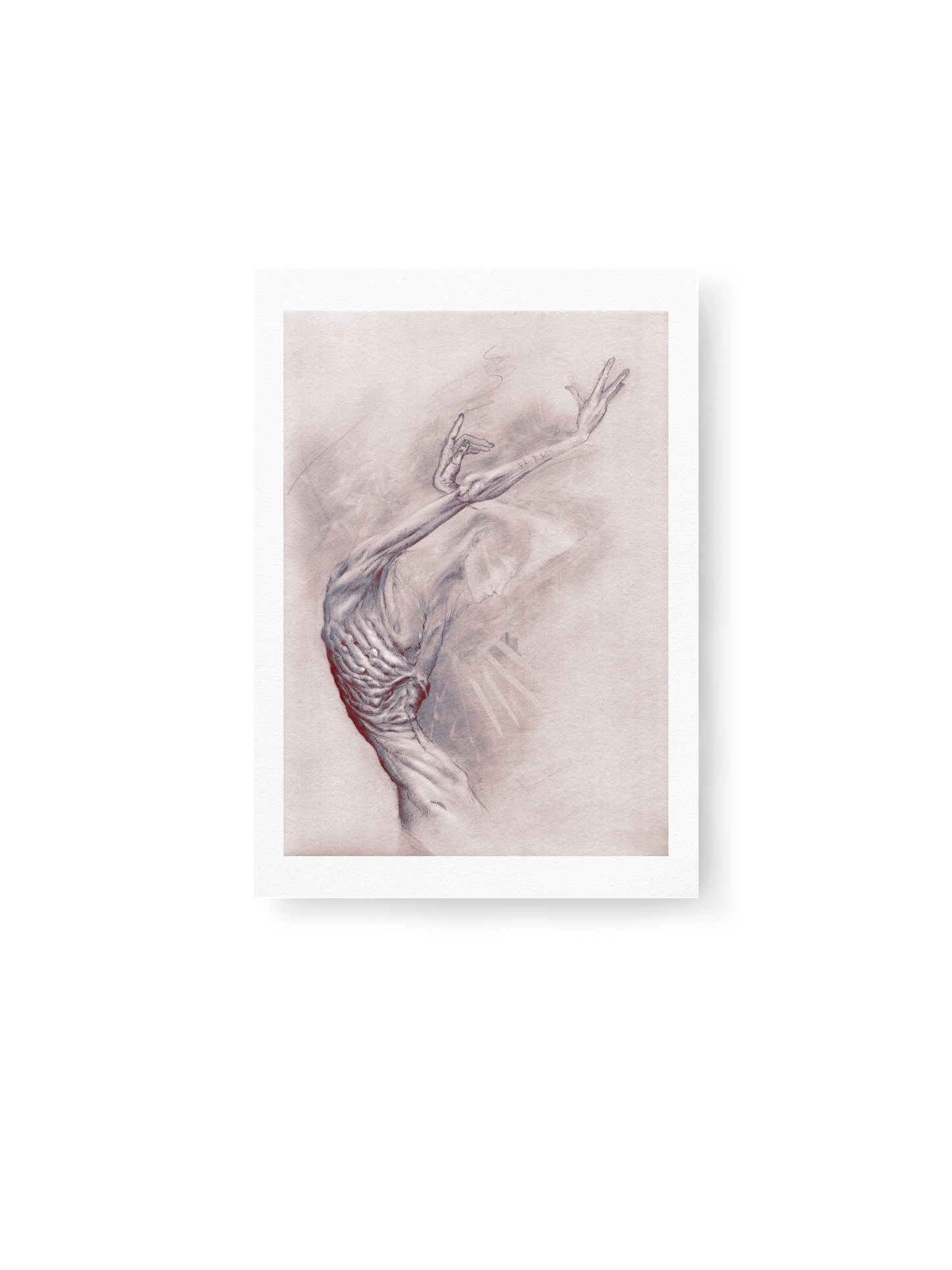 Little wing | Fine Art Print